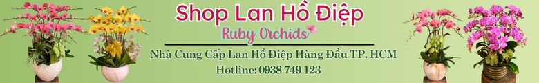 lanhodiephcm.com